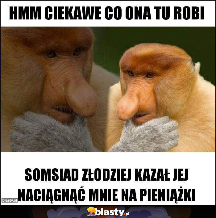 Hmm ciekawe co ona tu robi