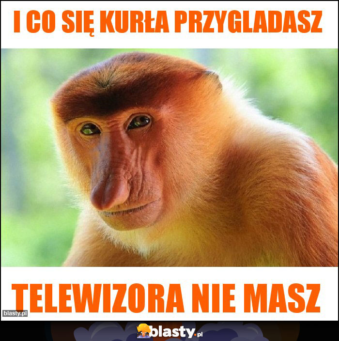 I co się kurła przygladasz