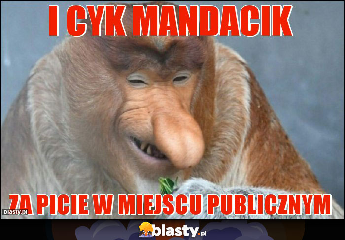 I cyk mandacik