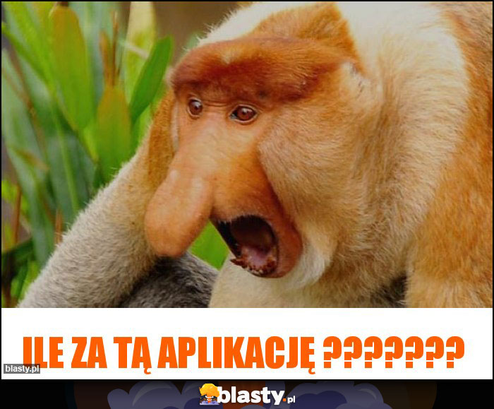 ILE ZA TĄ APLIKACJĘ ???????