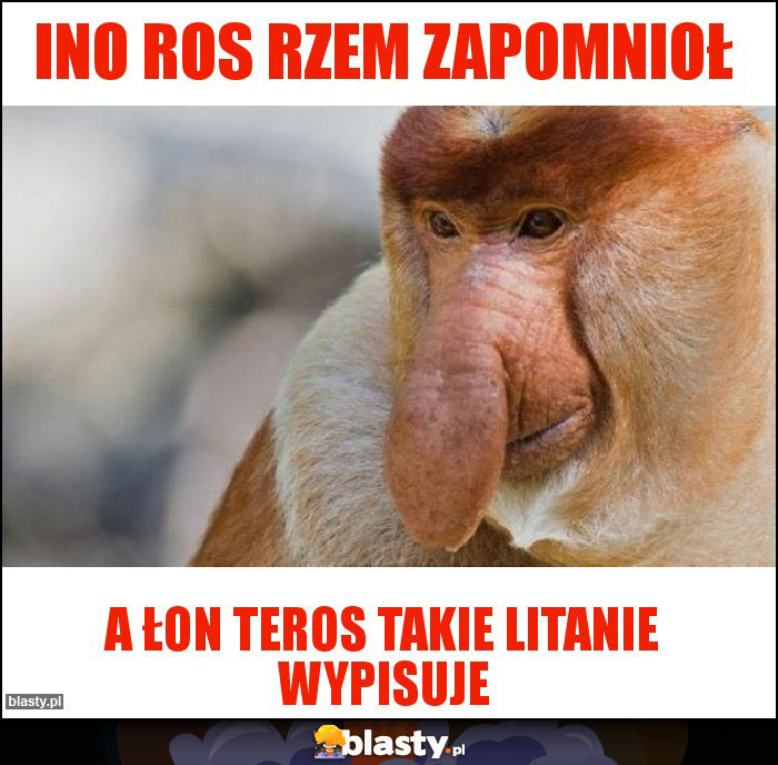 Ino ros rzem zapomnioł