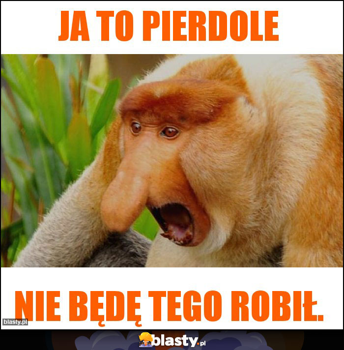 Ja to pierdole