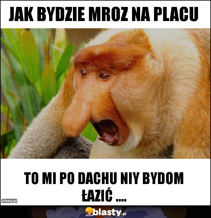 Jak bydzie mroz na placu