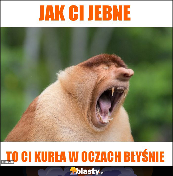 Jak Ci jebne