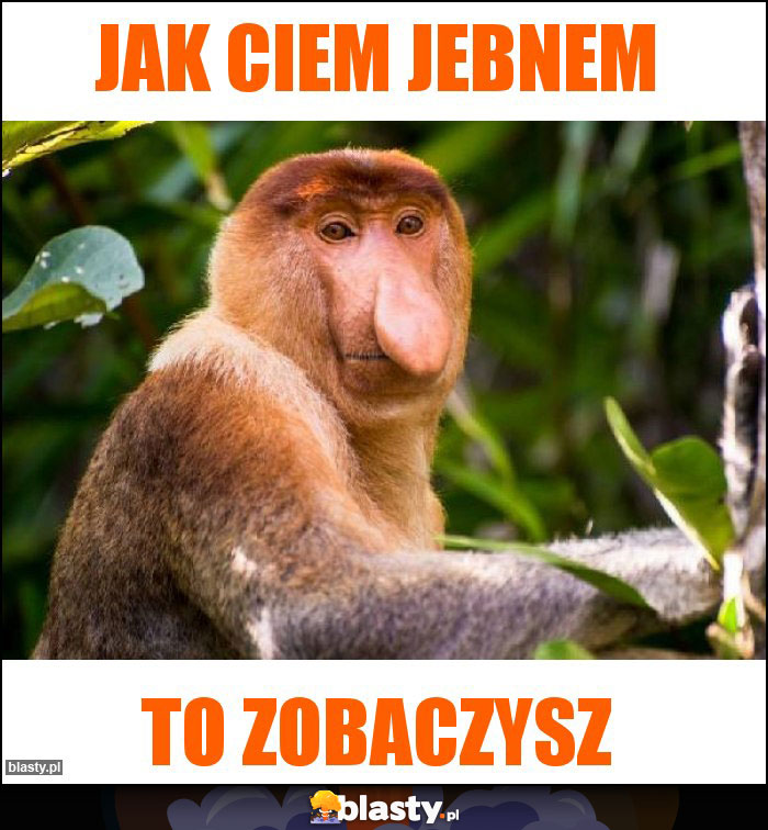 JAK CIEM JEBNEM