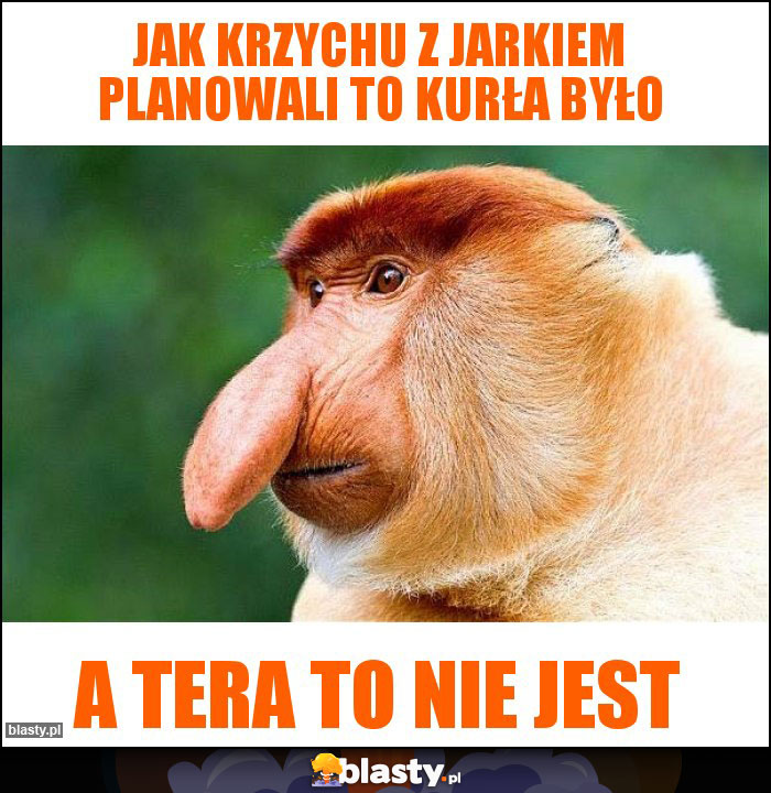 Jak Krzychu z jarkiem planowali to kurła było