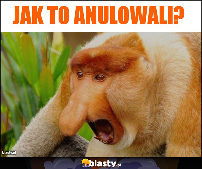 Jak to anulowali?