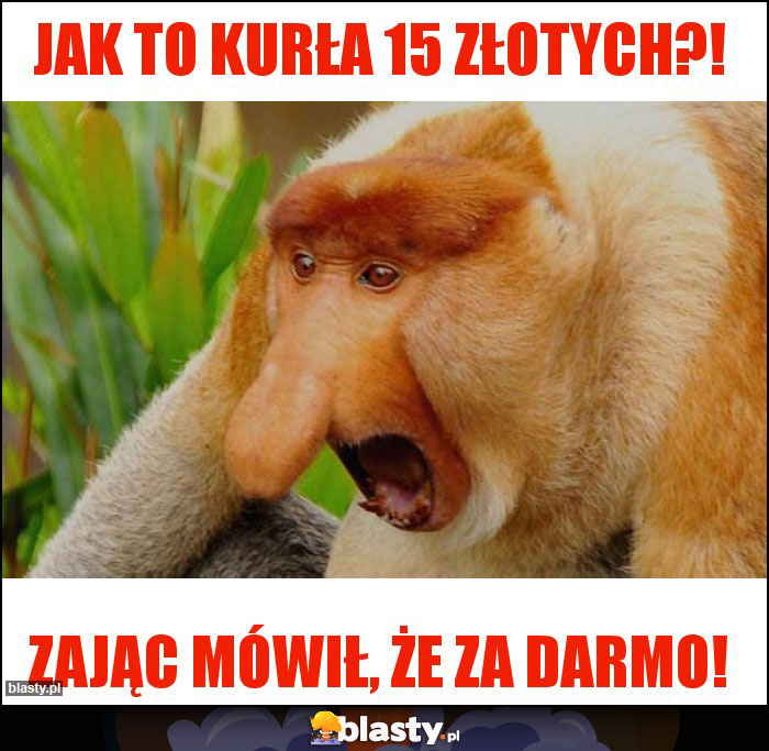 Jak to kurła 15 złotych?!