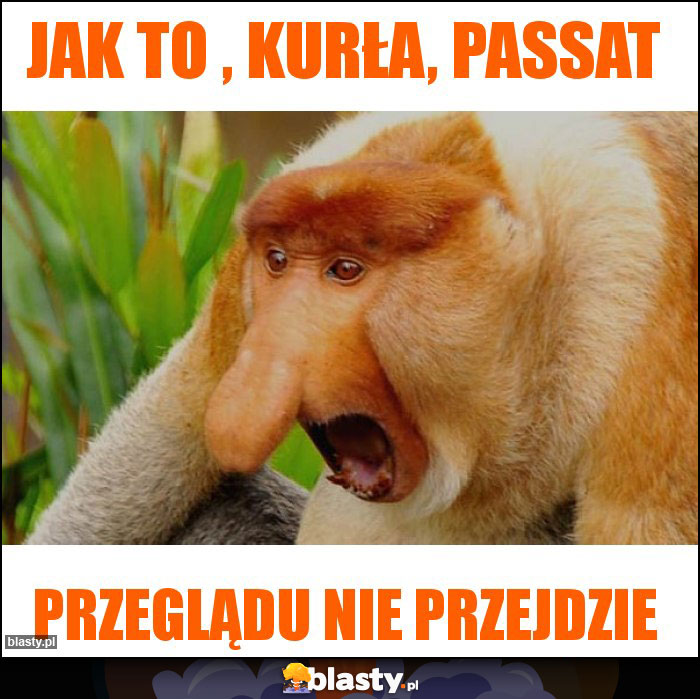 Jak to , kurła, Passat