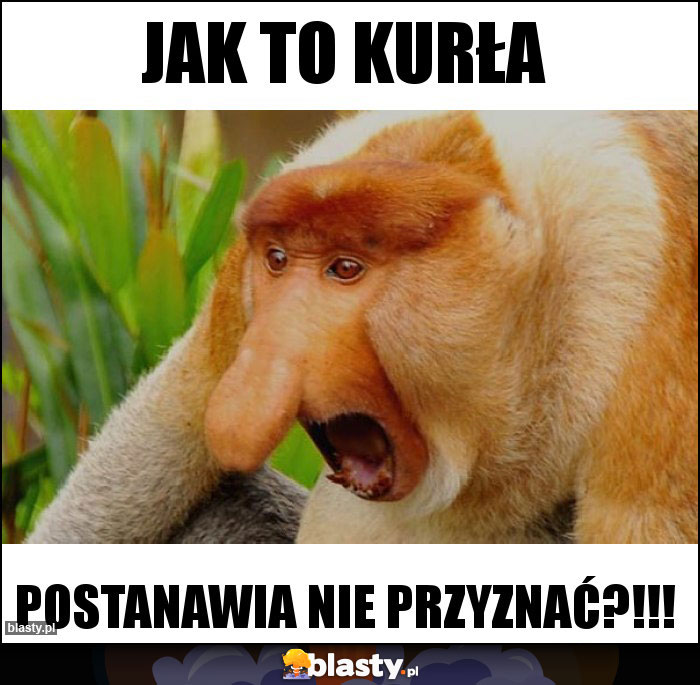 JAK TO KURŁA