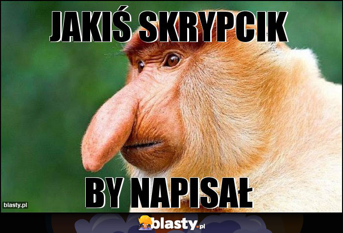 JAKIŚ SKRYPCIK