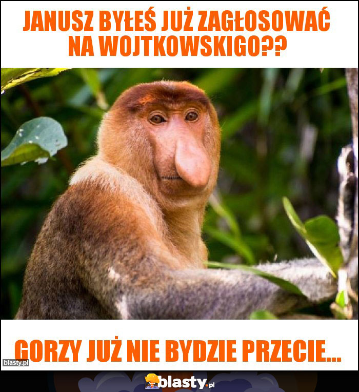 Janusz byłeś już zagłosować na Wojtkowskigo??