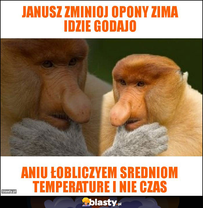 Janusz zminioj opony zima idzie godajo