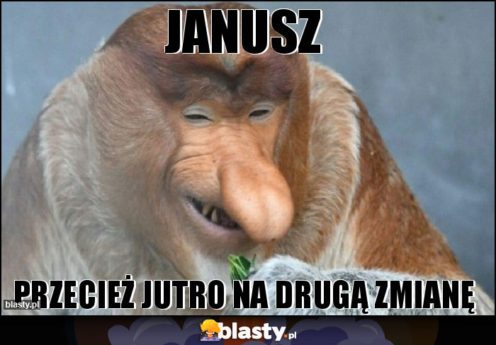 Janusz