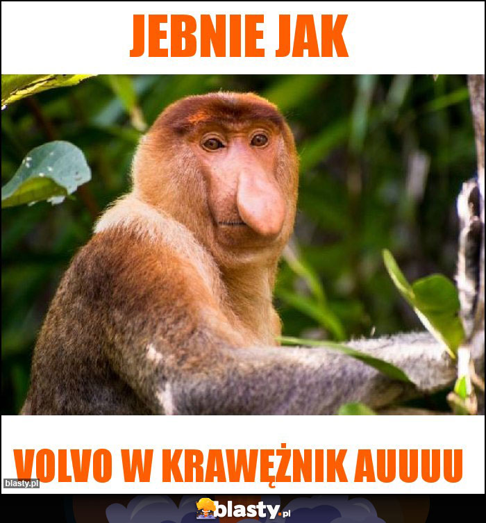 Jebnie jak