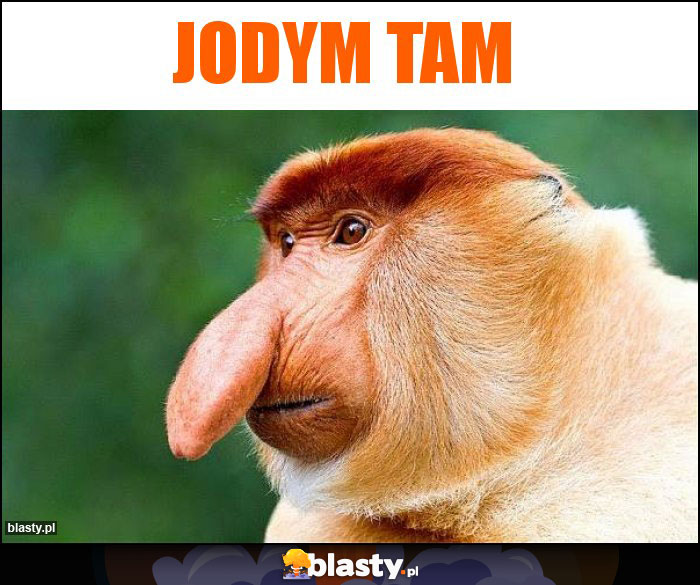 JODYM TAM