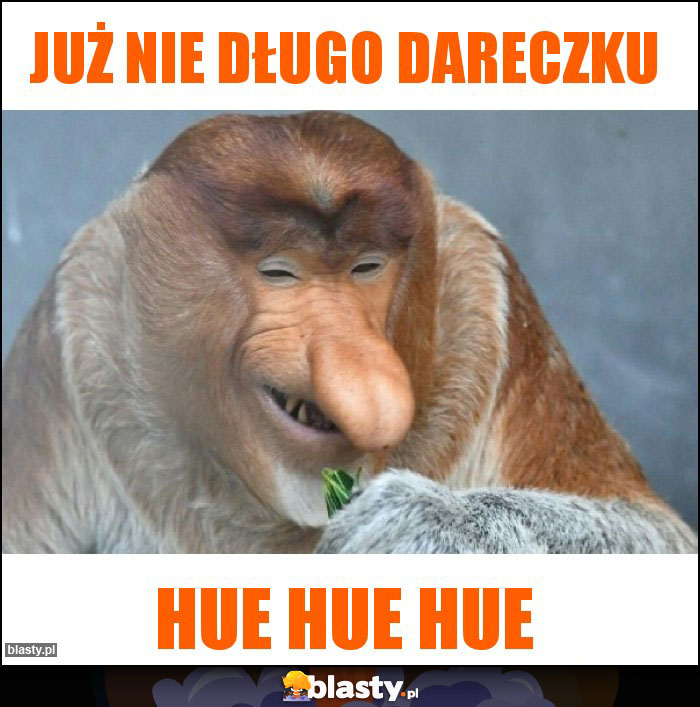 Już nie długo dareczku