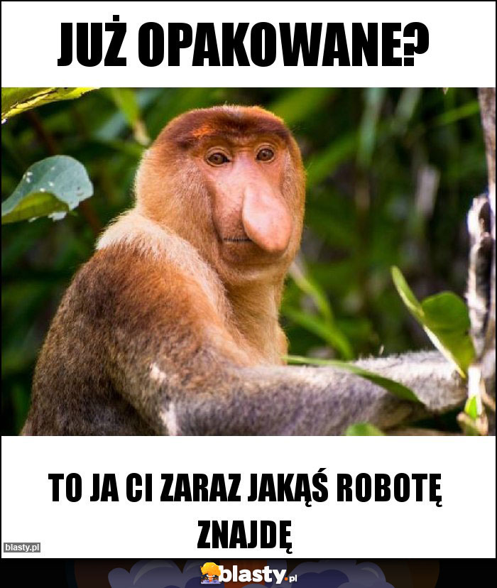 Już opakowane?