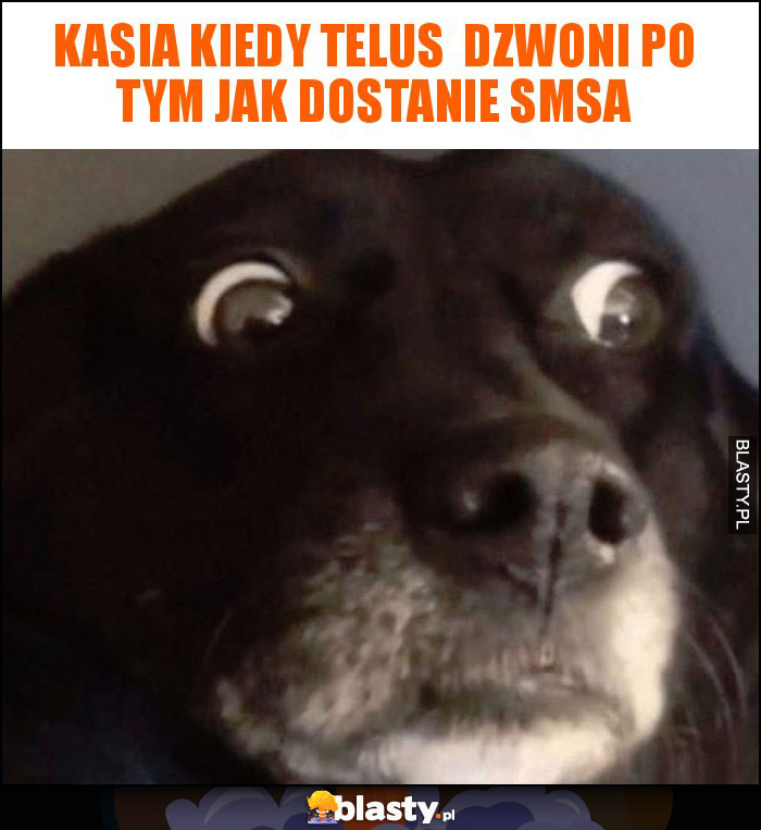 Kasia kiedy Telus  dzwoni po tym jak dostanie smsa