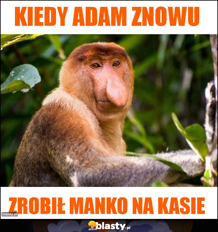 KIEDY ADAM ZNOWU