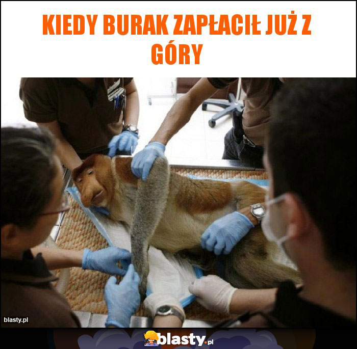 Kiedy burak zapłacił już z góry