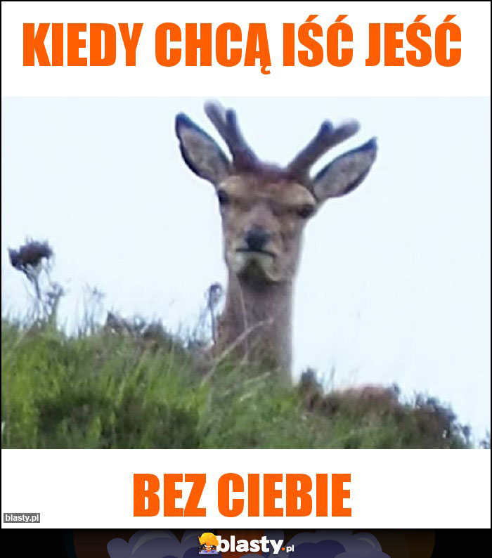 Kiedy chcą iść jeść