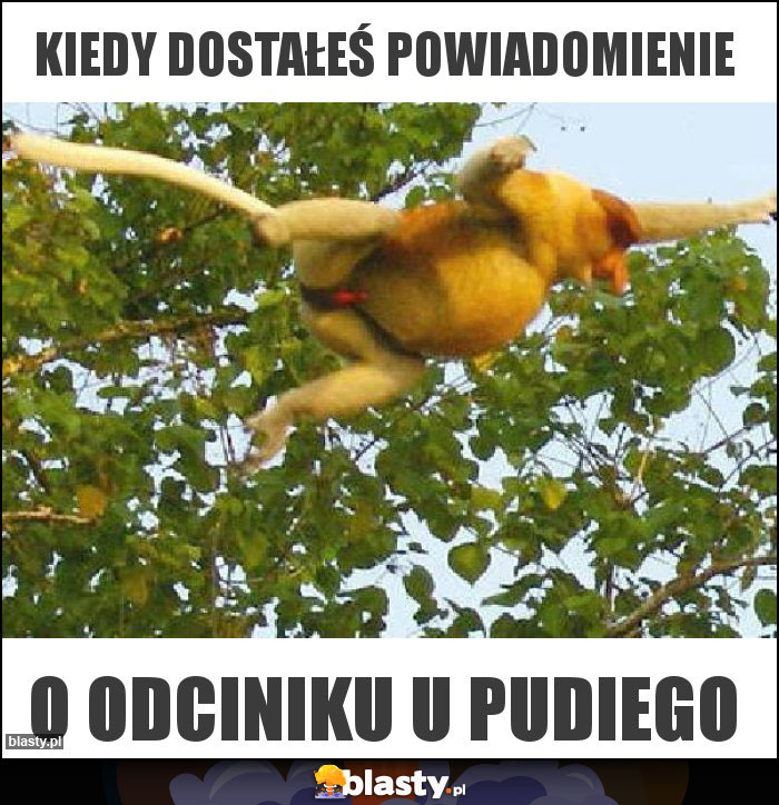 Kiedy dostałeś powiadomienie