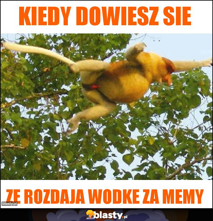 Kiedy dowiesz sie