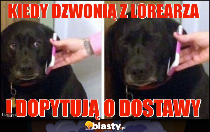 Kiedy dzwonią z Lorearza