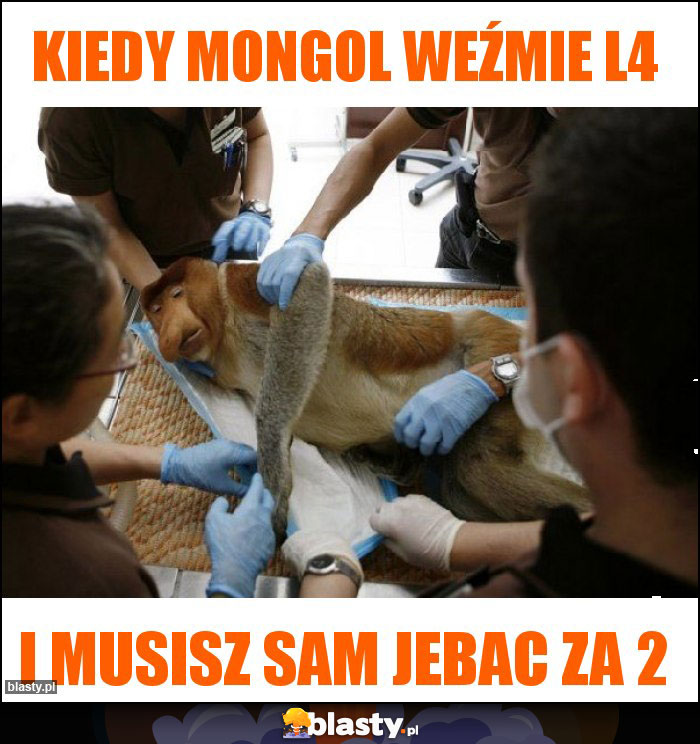 Kiedy mongol weźmie l4