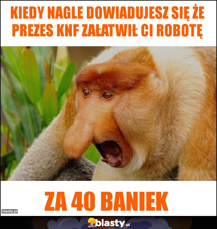 kiedy nagle dowiadujesz się że prezes knf załatwił ci robotę