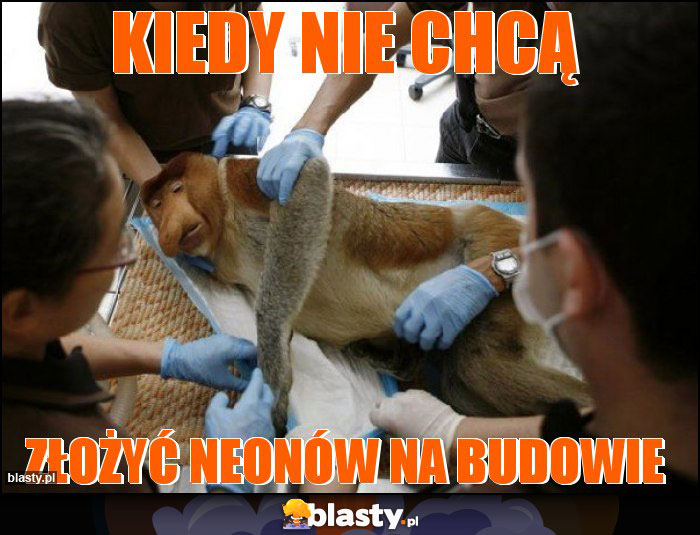 kiedy nie chcą