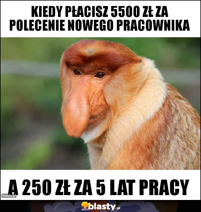 KIEDY PŁACISZ 5500 ZŁ ZA POLECENIE NOWEGO PRACOWNIKA