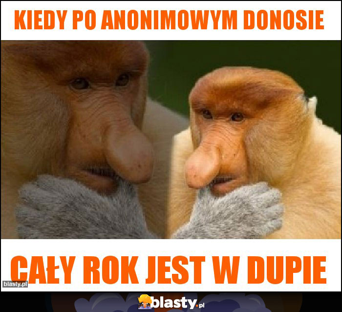 Kiedy po anonimowym donosie