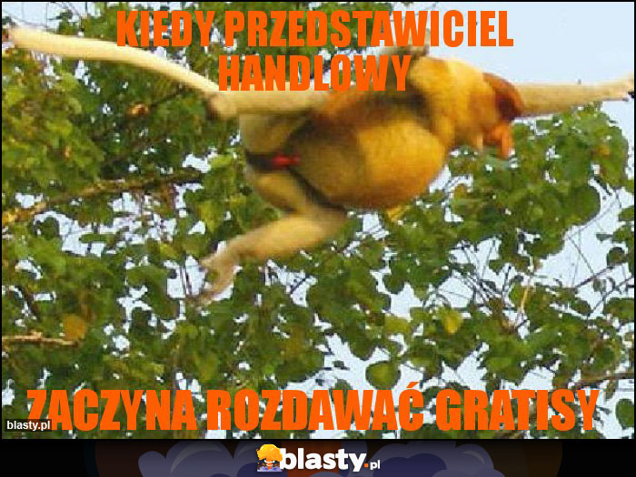 KIEDY PRZEDSTAWICIEL HANDLOWY