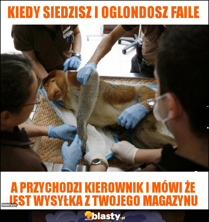 Kiedy siedzisz i oglondosz faile