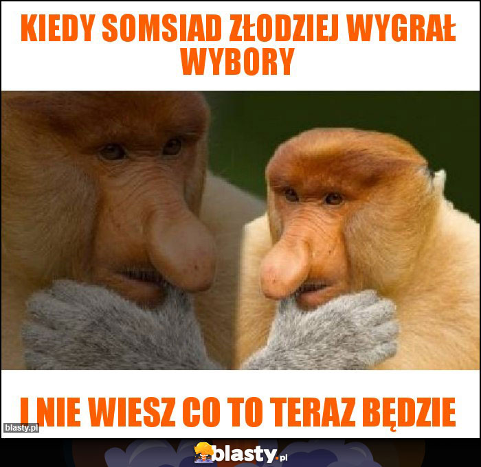 Kiedy somsiad złodziej wygrał wybory