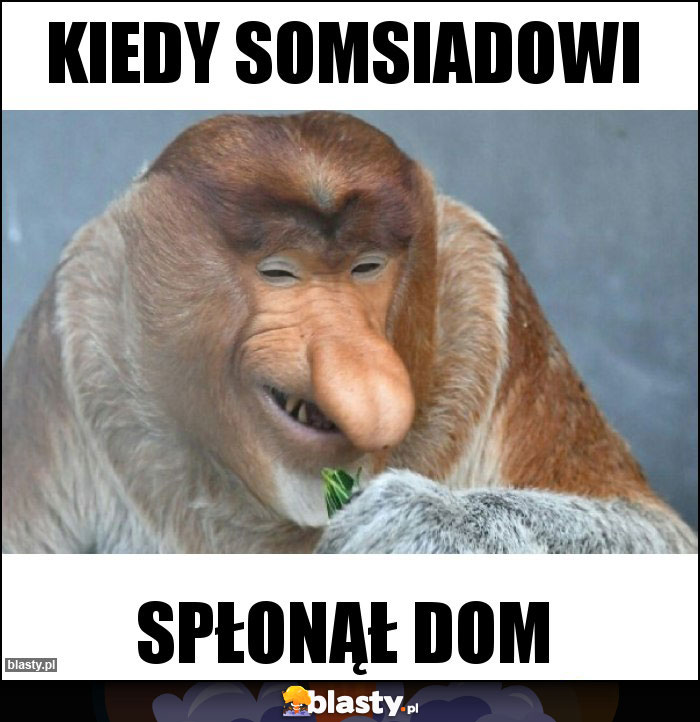 Kiedy somsiadowi