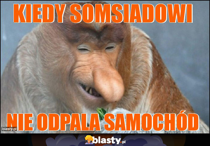 KIEDY SOMSIADOWI