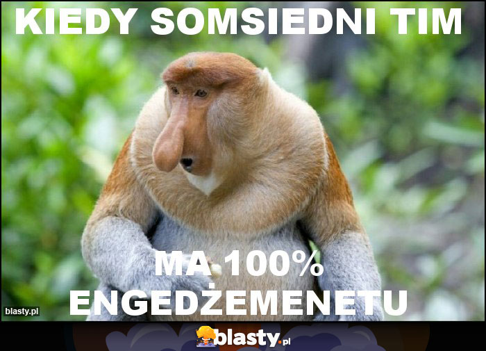 Kiedy somsiedni tim