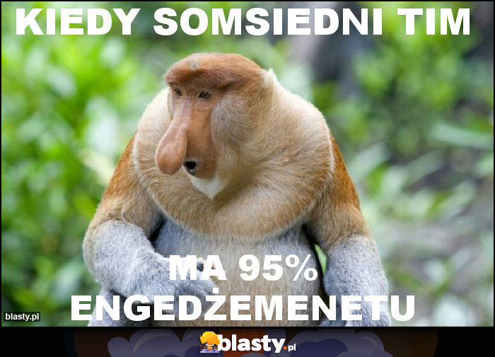 Kiedy somsiedni tim