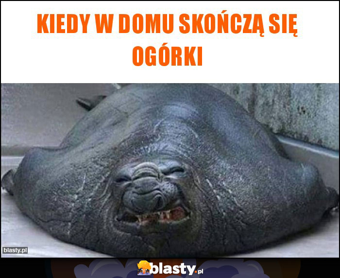 KIEDY W DOMU SKOŃCZĄ SIĘ OGÓRKI