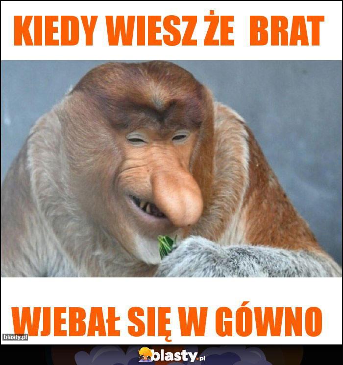 Kiedy wiesz że  brat