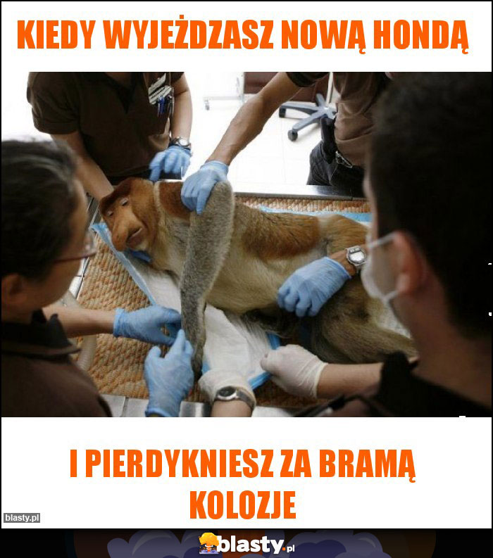 Kiedy wyjeżdzasz nową hondą