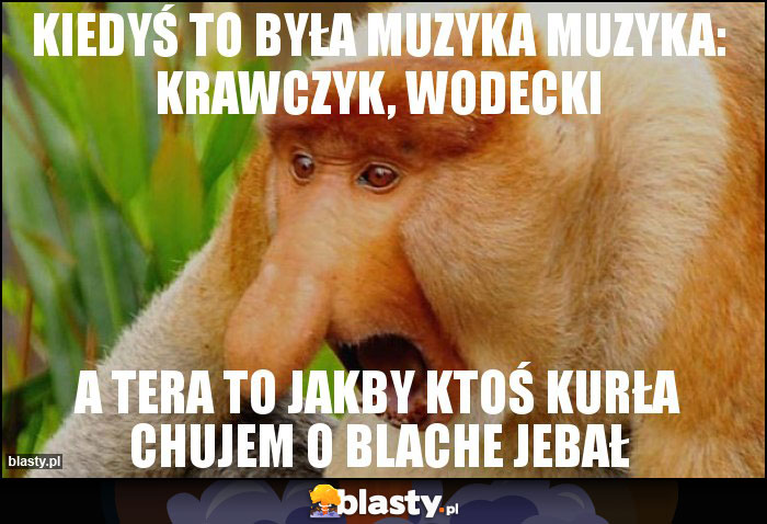 Kiedyś to była muzyka muzyka: Krawczyk, Wodecki