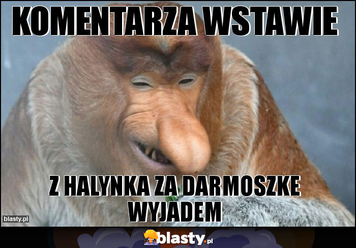 Komentarza wstawie