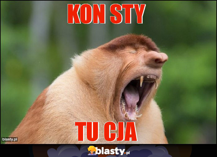 KON STY