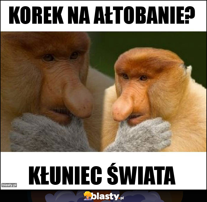 Korek na ałtobanie?