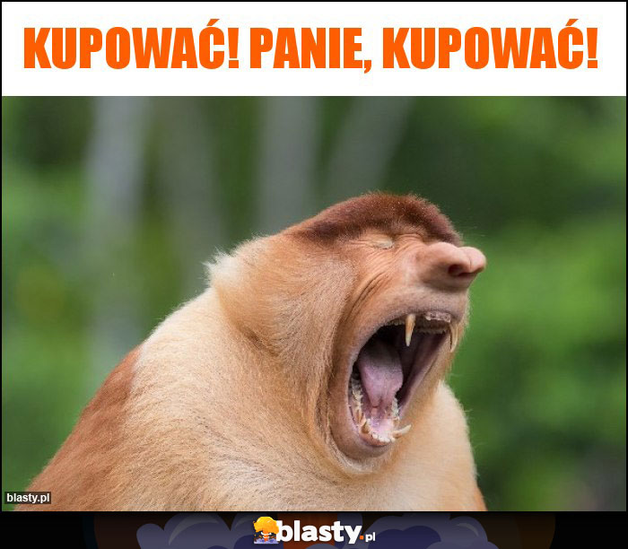 Kupować! Panie, Kupować!