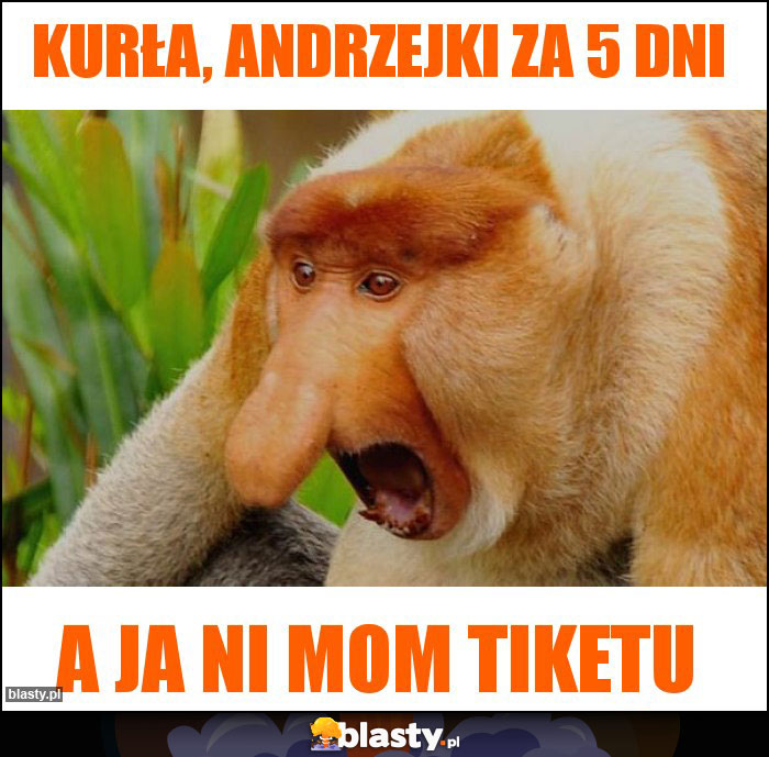 Kurła, Andrzejki za 5 dni